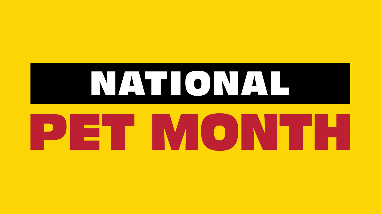 National Pet Month