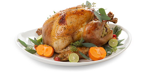 Roast Turkey