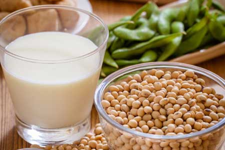 Soy Foods Collection