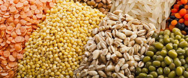Bean or Legume Patties