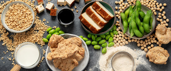 Soy Products