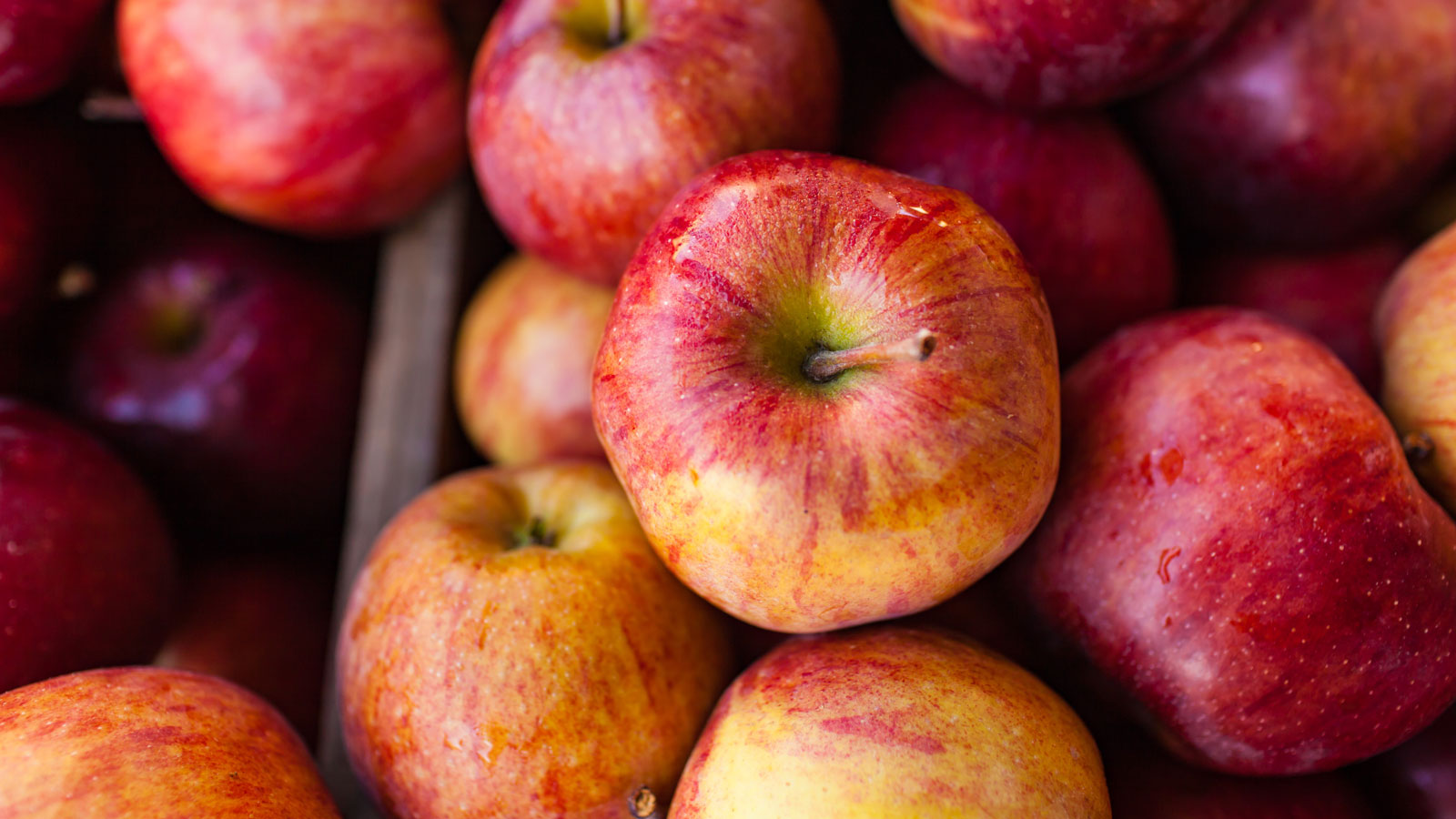 Apple Collection