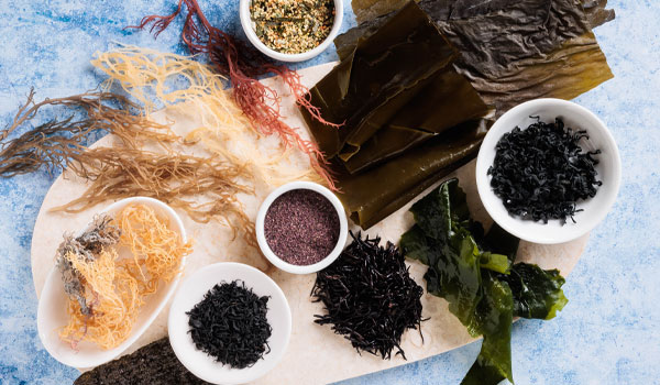 Aquatic Food - Seaweeds