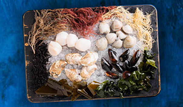 Aquatic Food