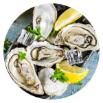 Oysters