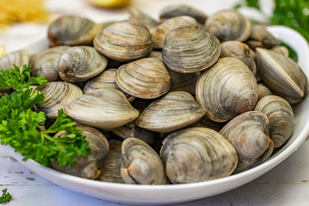 Clams