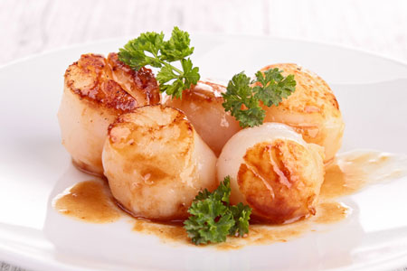 Scallops