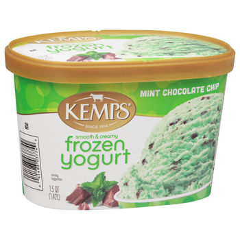 Kemps Low Fat Mint Chocolate Chip Frozen Yogurt