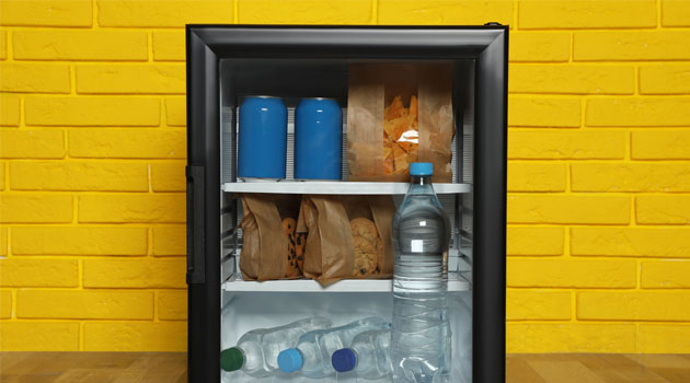 Mini Fridge Must Haves