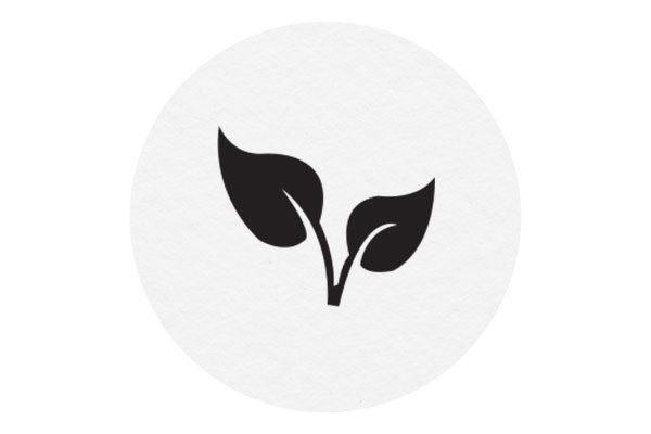 Improving the environment