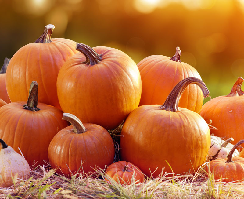 Pumpkins