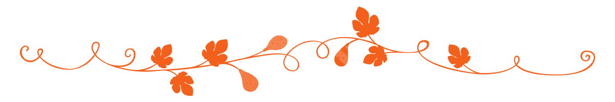 Vine divider