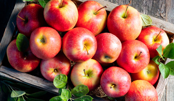 Fresh Apples