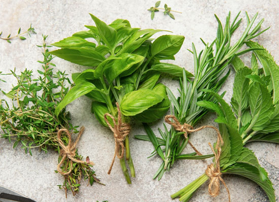 Fresh Herbs