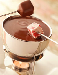 Chocolate Ice Cream Fondue