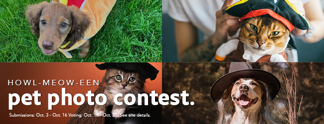 Howl-meow-een Pet Photo Contest