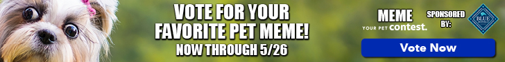 Vote for your favorite pet meme! Now through 5/26