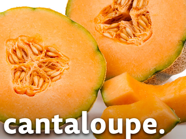 Cantaloupe