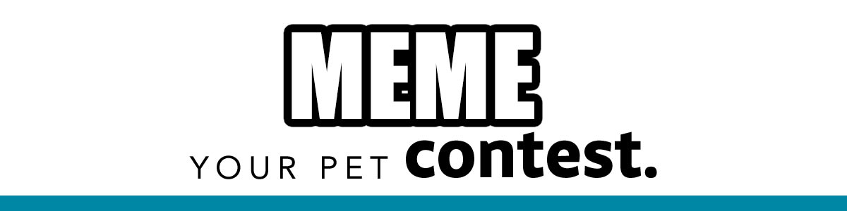 Meme Your Pet Contest