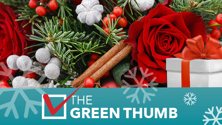 The Green Thumb