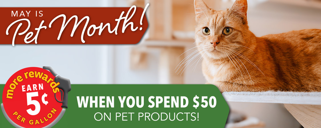 May is Pet Month