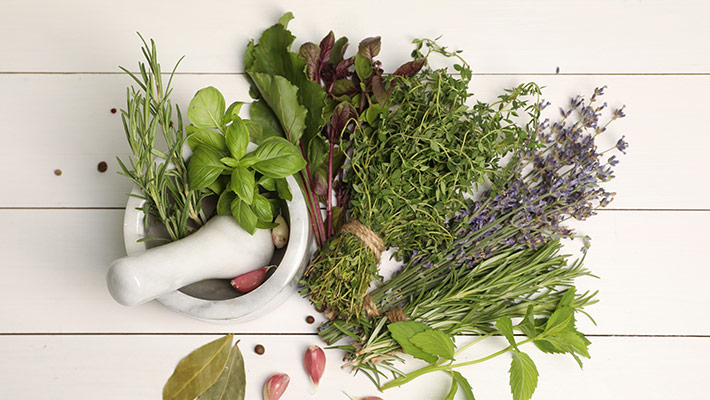 Herbs