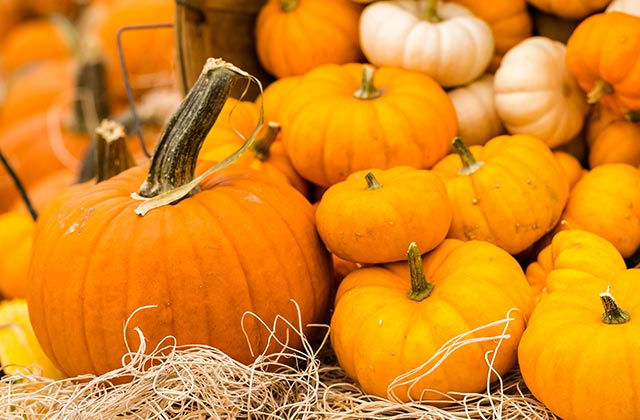 Pumpkins