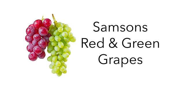 Samsons Label Red & Green Grapes