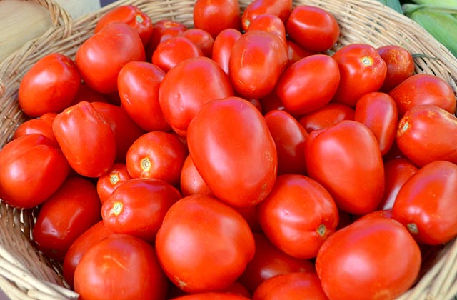 Roma Tomatoes