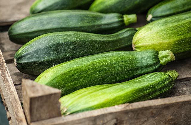 Zucchini