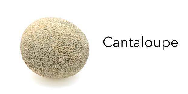 Cantaloupe