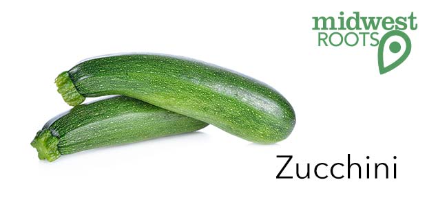 Zucchini
