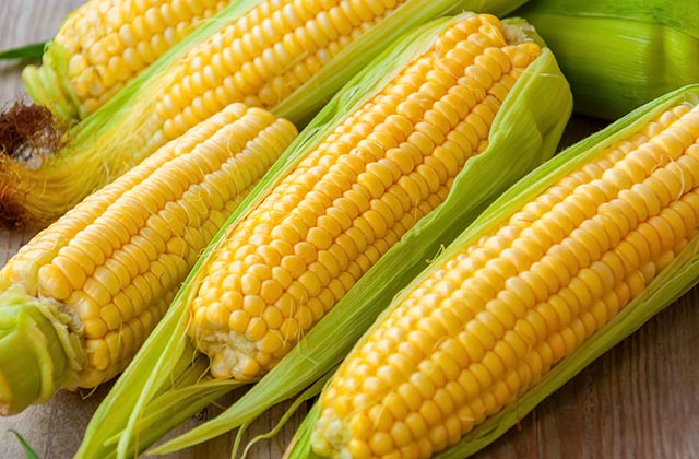 Sweet Corn