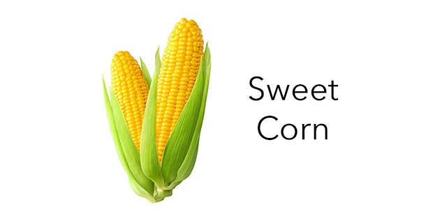 Sweet Corn