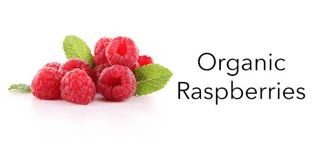 Organic Raspberries