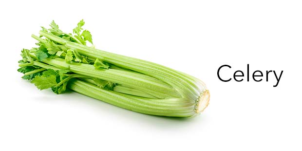 Celery