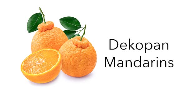 Dekopan Mandarins
