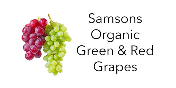 Samsons Organic Green & Red Grapes