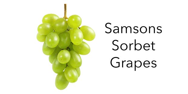 Samsons Sorbet Grapes