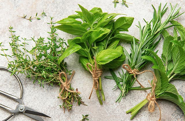Fresh Herbs