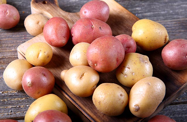 Russet Potatoes
