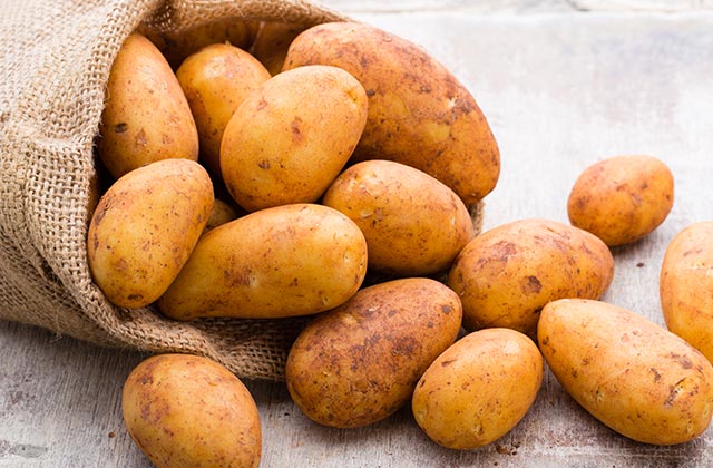 Russet Potatoes