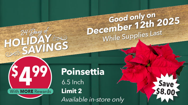 24 Days of Holiday Savings