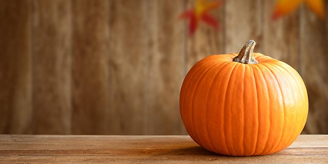 Pumpkin