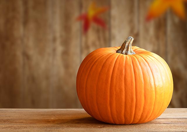 Pumpkin