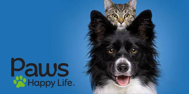 Paws Happy Life