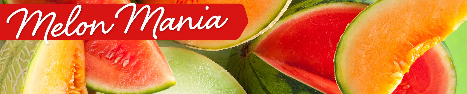 Melon Mania