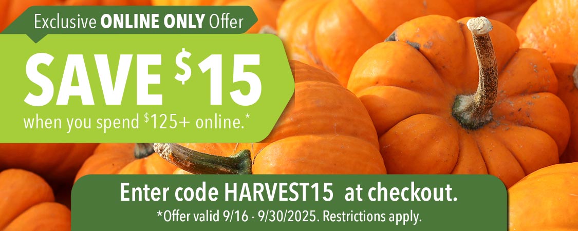 Save $15 when you spend $125+ online
