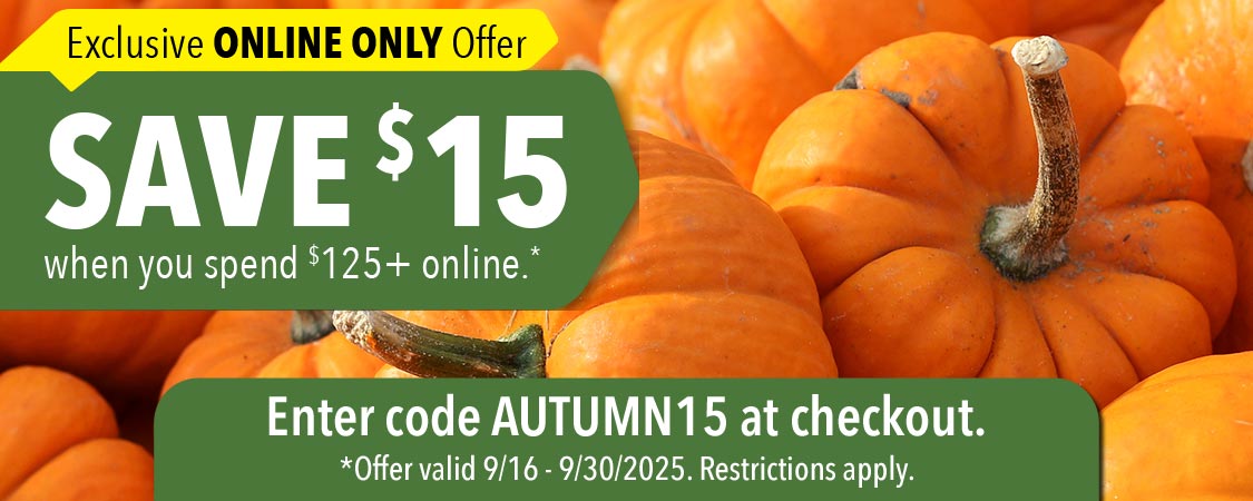Save $15 when you spend $125+ online