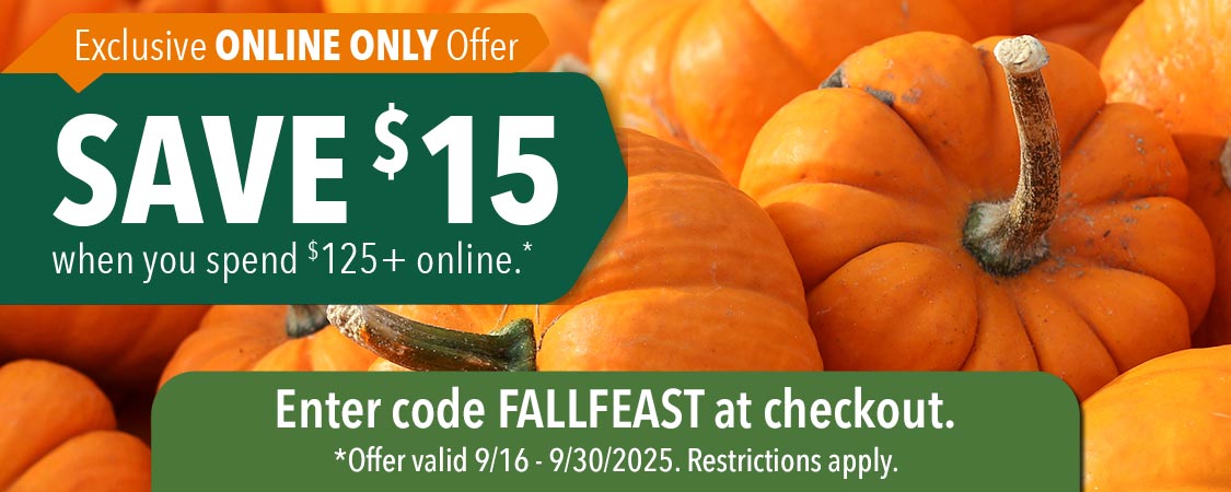 Save $15 when you spend $125+ online